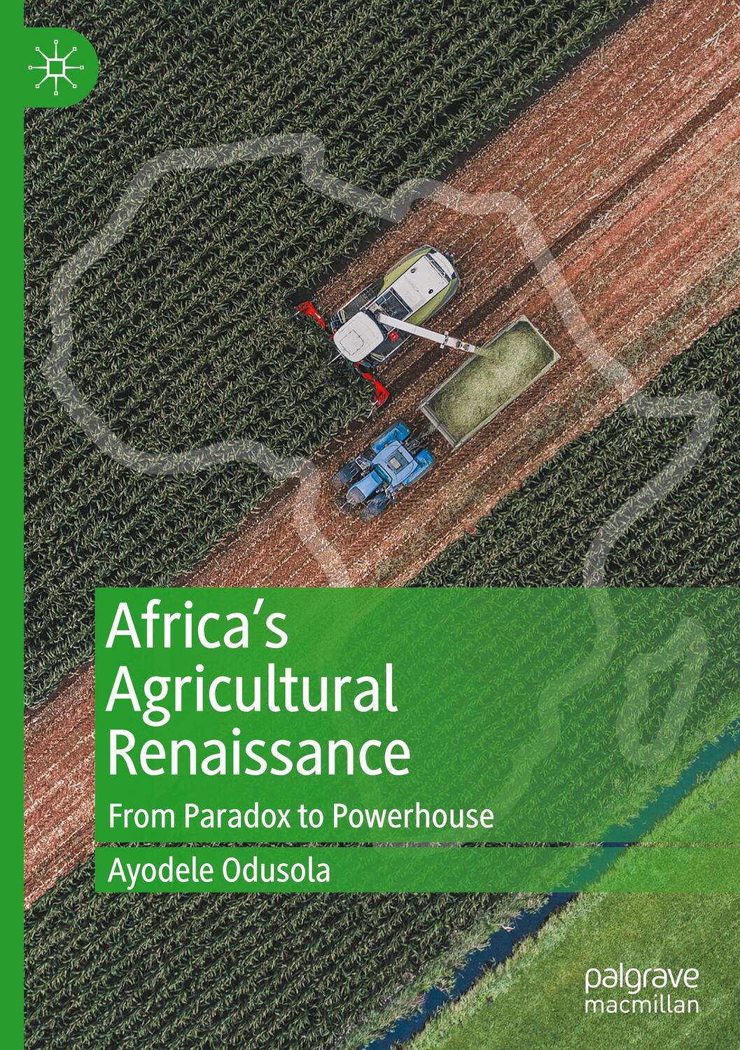 Cover: 9783030657475 | Africa's Agricultural Renaissance | From Paradox to Powerhouse | Buch