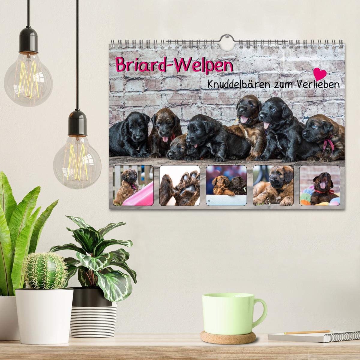 Bild: 9783435463350 | Briard-Welpen - Knuddelbären zum Verlieben (Wandkalender 2025 DIN...