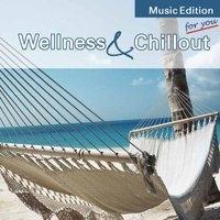 Cover: 9783893267309 | Wellness &amp; Chillout | Various | Audio-CD | 2005 | EAN 4014579073002