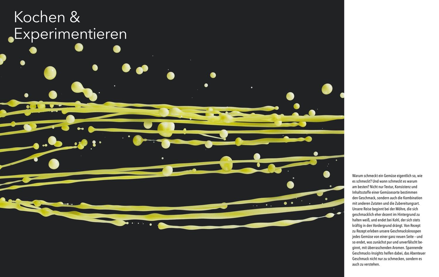 Bild: 9783833872358 | Abenteuer Geschmack! | Antje de Vries | Buch | GU Themenkochbuch