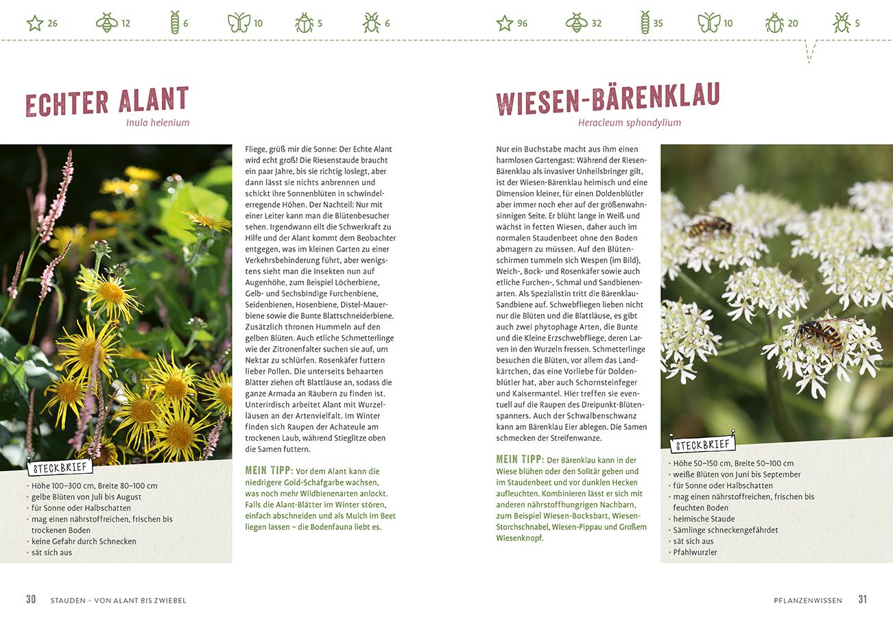 Bild: 9783818623906 | Richtig gute Pflanzen für Insekten | Elke Schwarzer | Taschenbuch