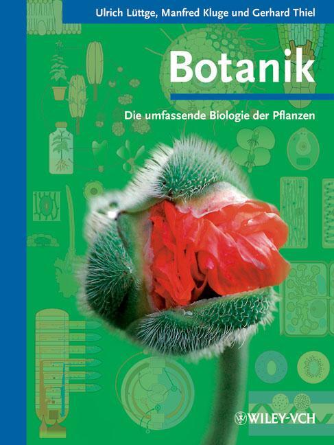 Cover: 9783527320301 | Botanik - Die umfassende Biologie der Pflanzen | Ulrich Lüttge (u. a.)
