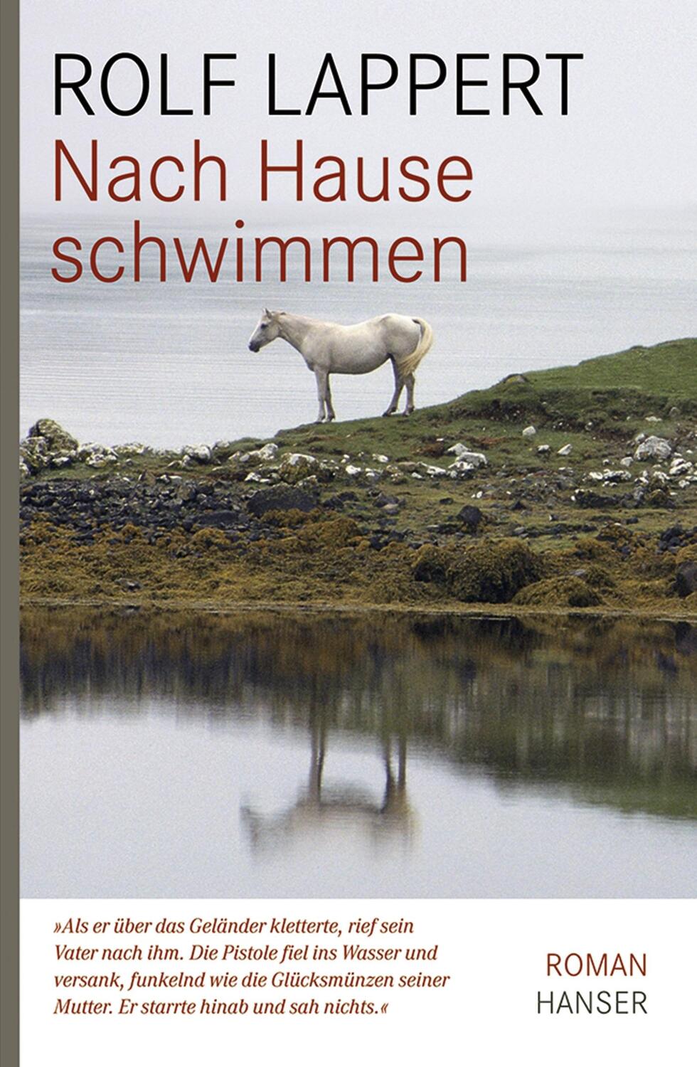 Cover: 9783446209923 | Nach Hause schwimmen | Rolf Lappert | Buch | Deutsch | 2008