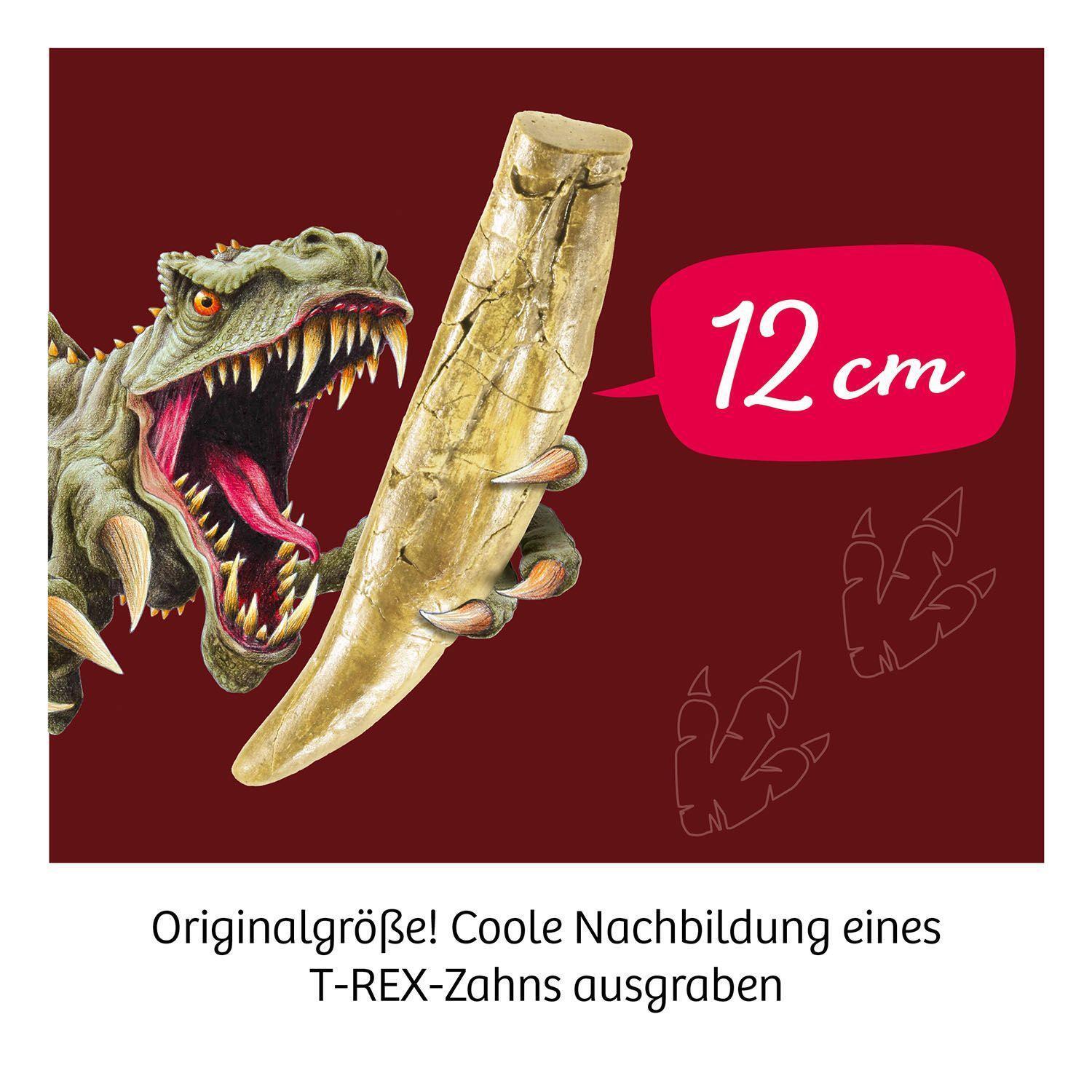 Bild: 4002051636173 | T-rex - Zahn | Experimentierkasten | Spiel | Deutsch | 2022 | Kosmos