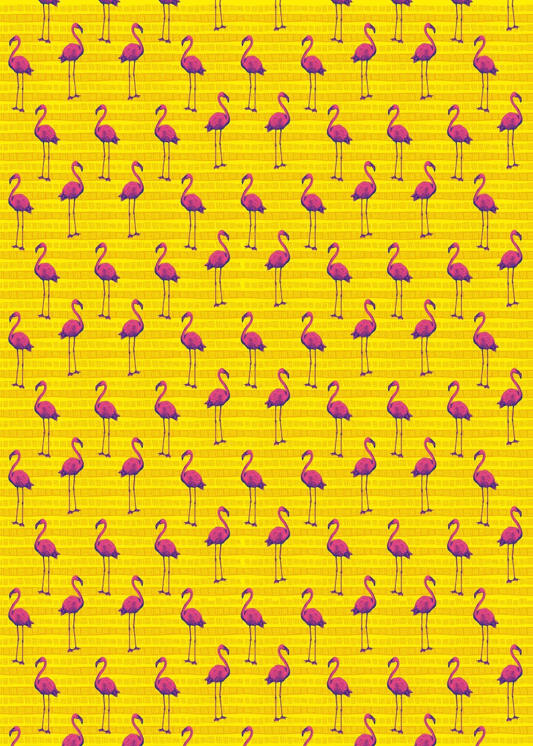 Bild: 4250915934464 | Die Tiere Afrikas Geschenkpapier-Heft Motiv Flamingo | 2 x 5 Bögen