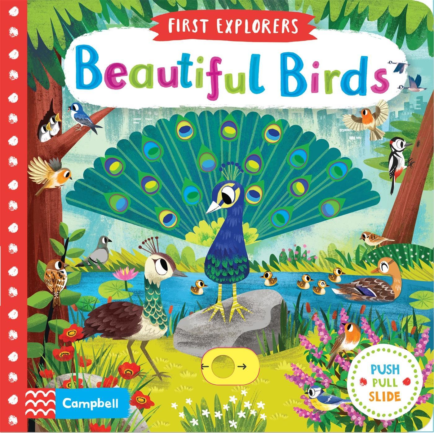 Cover: 9781509898336 | Beautiful Birds | Campbell Books | Buch | Campbell First Explorers