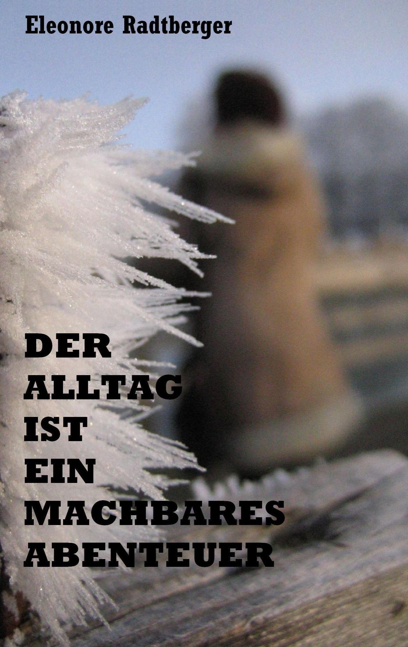 Cover: 9783741255984 | Der Alltag ist ein machbares Abenteuer | Eleonore Radtberger | Buch