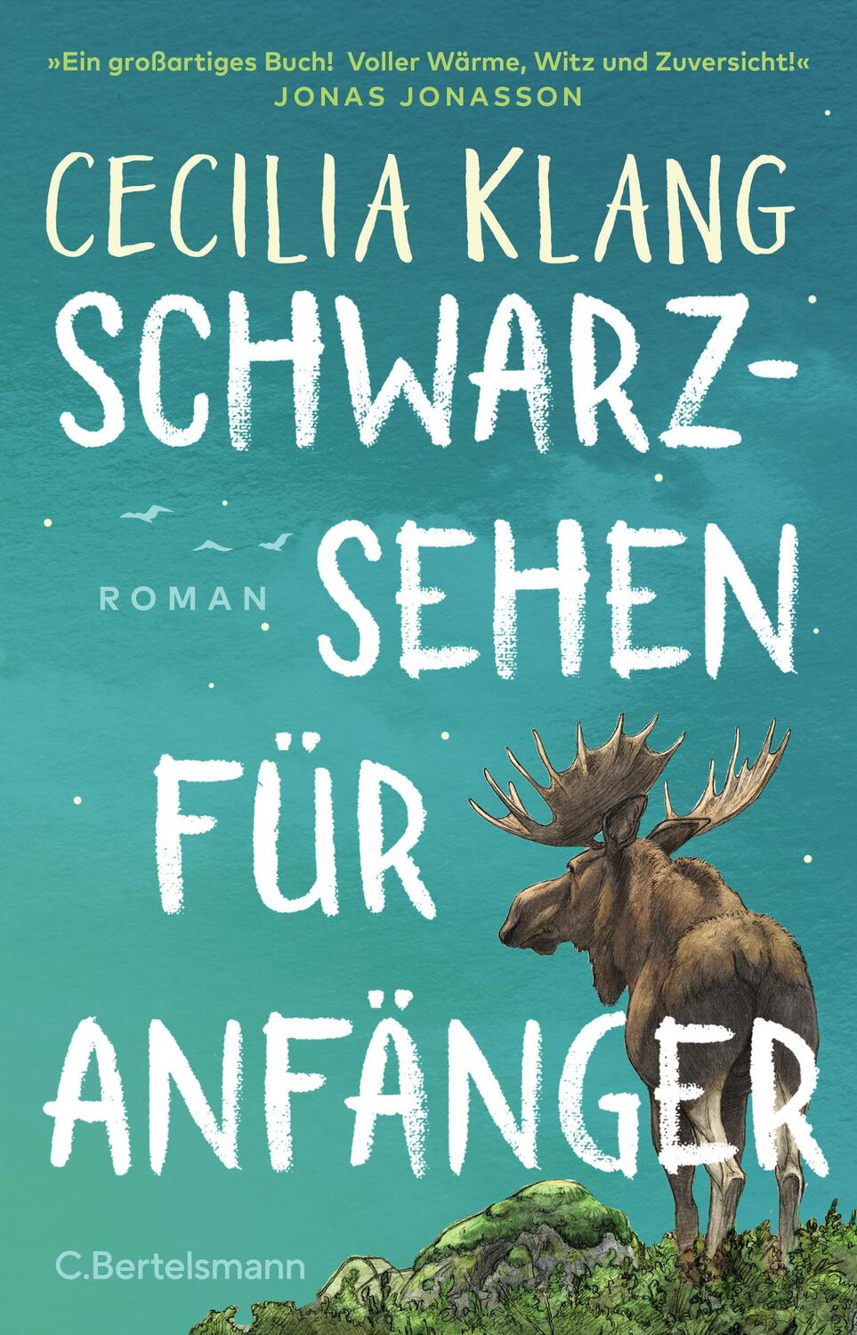 Cover: 9783570105290 | Schwarzsehen für Anfänger | Cecilia Klang | Buch | 416 S. | Deutsch