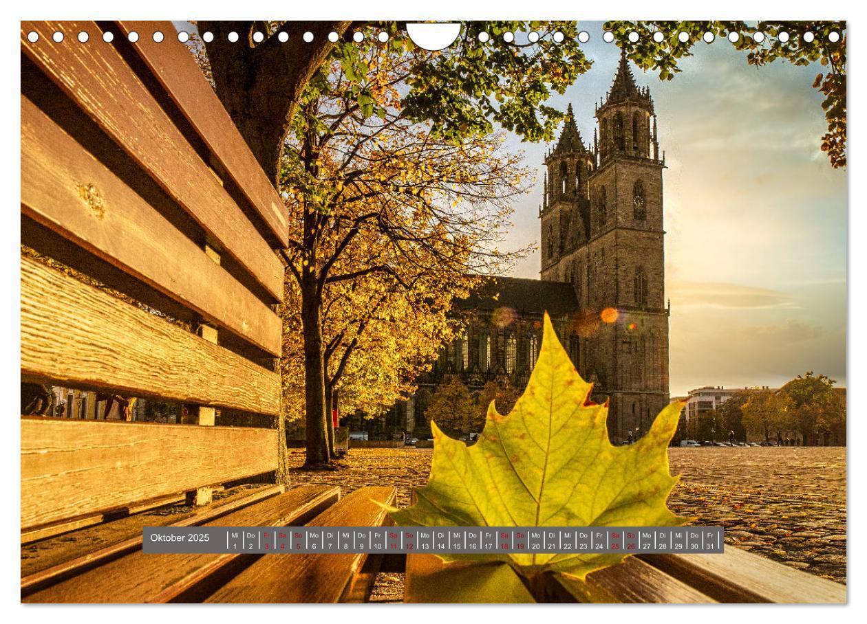 Bild: 9783383831874 | Schönes Magdeburg (Wandkalender 2025 DIN A4 quer), CALVENDO...