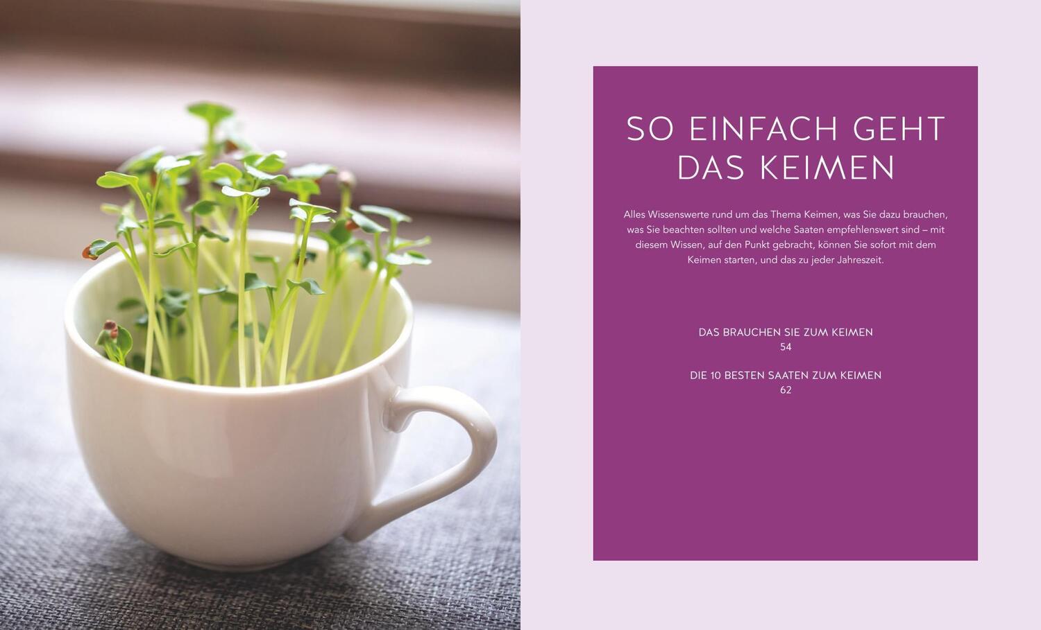 Bild: 9783833875618 | Basenfasten mit Keimlingen | Sabine Wacker | Taschenbuch | 128 S.