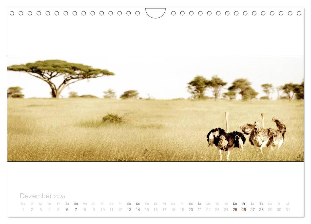 Bild: 9783435687749 | Serengeti Panorama (Wandkalender 2025 DIN A4 quer), CALVENDO...