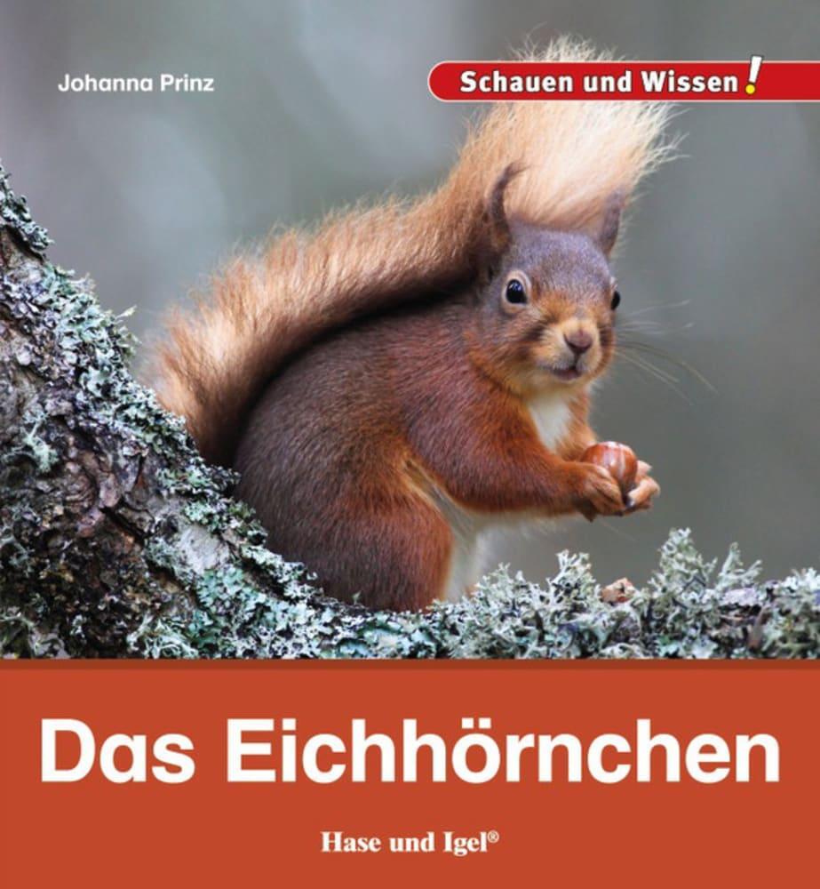 Cover: 9783867609906 | Das Eichhörnchen | Schauen und Wissen! | Johanna Prinz | Buch | 34 S.