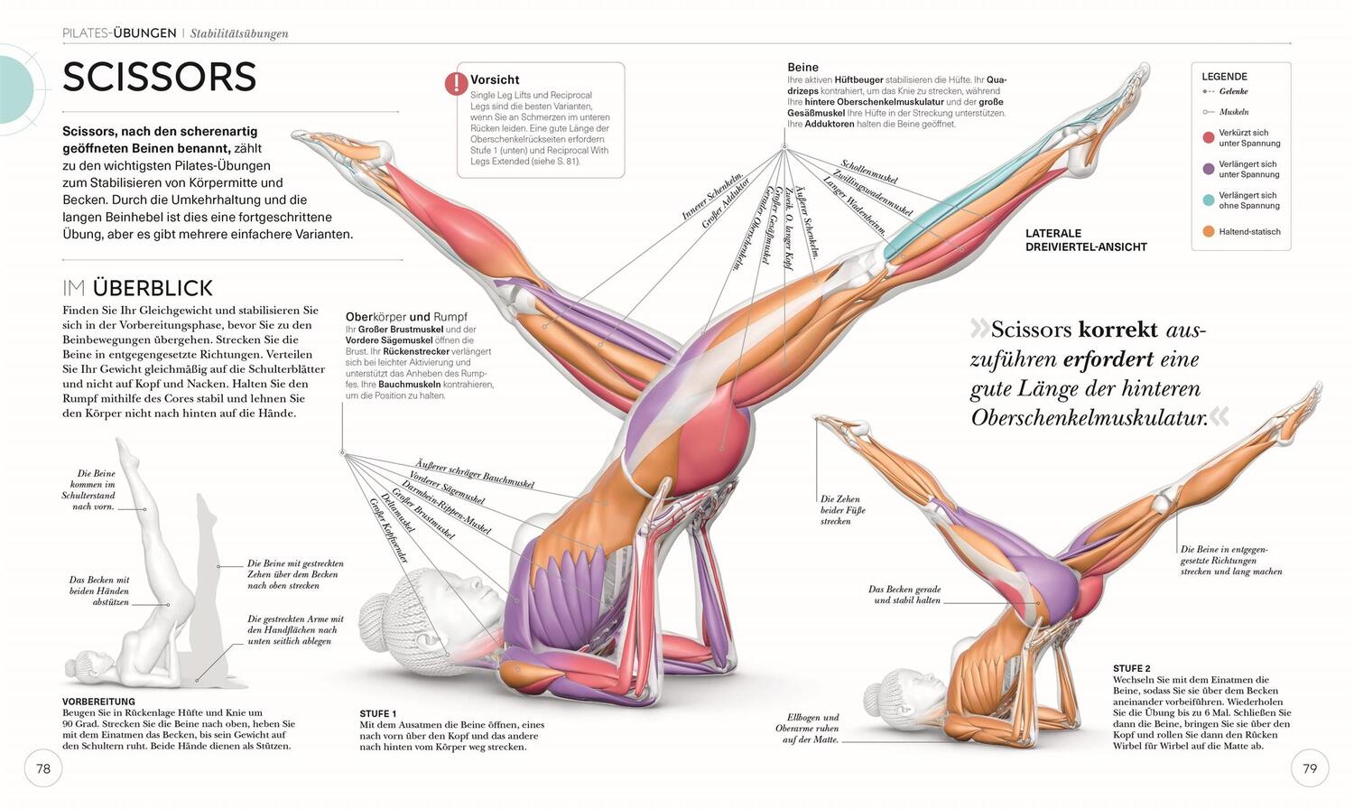 Bild: 9783831046300 | Pilates - Die Anatomie verstehen | Tracy Ward | Taschenbuch | 224 S.