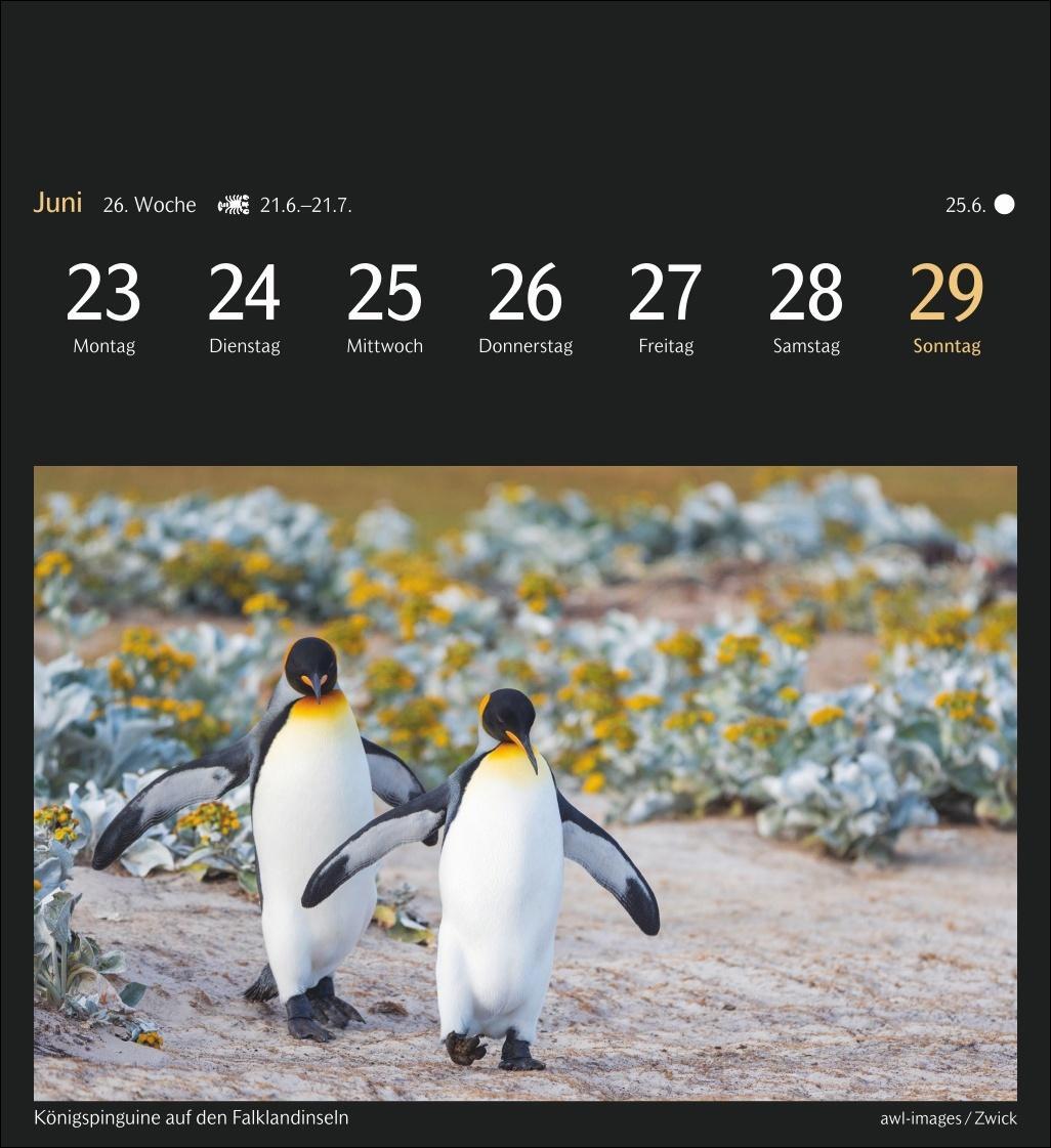 Bild: 9783840035319 | Die Welt in Farben Postkartenkalender 2025 - Kalender mit 53...