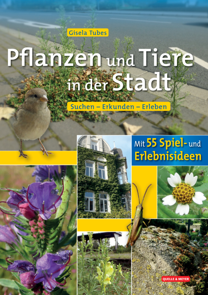 Cover: 9783494016832 | Pflanzen und Tiere in der Stadt | Gisela Tubes | Taschenbuch | Deutsch