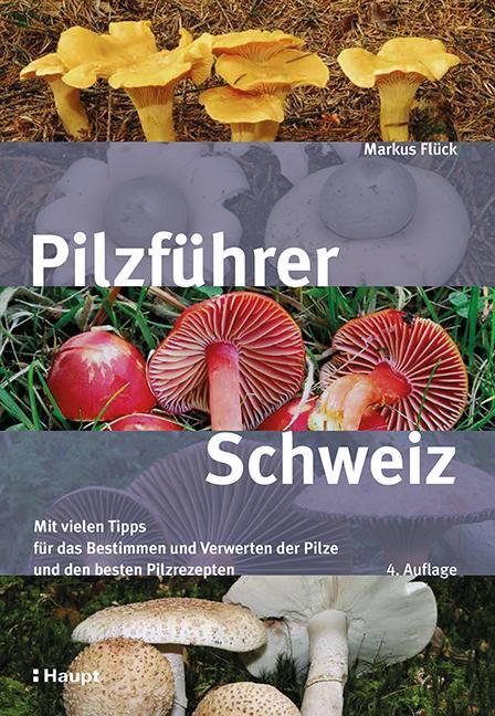 Cover: 9783258082288 | Pilzführer Schweiz | Markus Flück | Taschenbuch | Deutsch | 2021