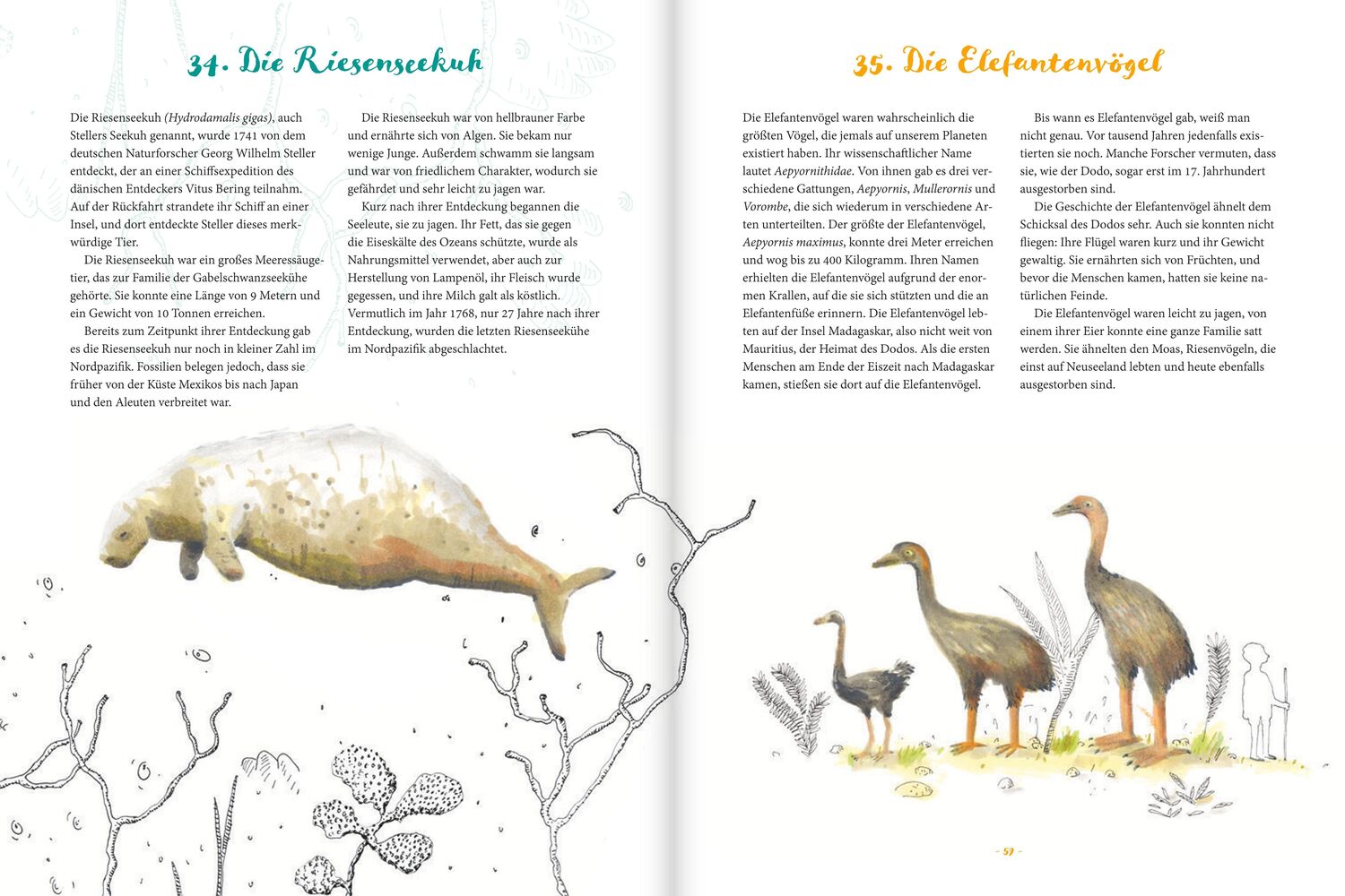 Bild: 9783792003749 | Damals der Dodo | Vom Aussterben und Überleben der Arten | Isabel Pin
