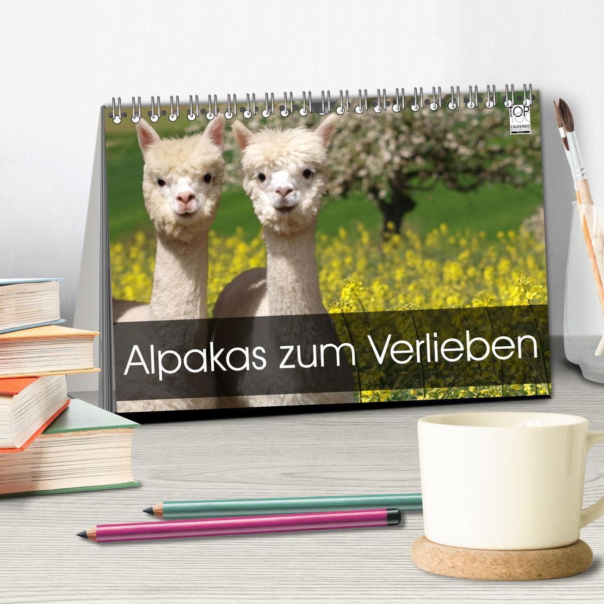 Bild: 9783435561421 | Alpakas zum Verlieben (Tischkalender 2025 DIN A5 quer), CALVENDO...