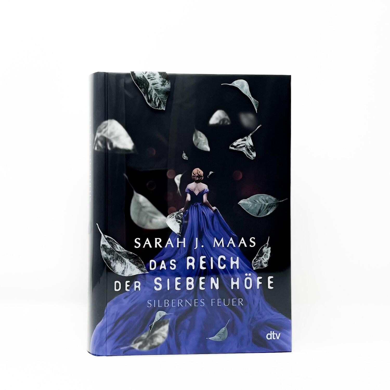 Bild: 9783423763349 | Das Reich der sieben Höfe - Silbernes Feuer | Sarah J. Maas | Buch