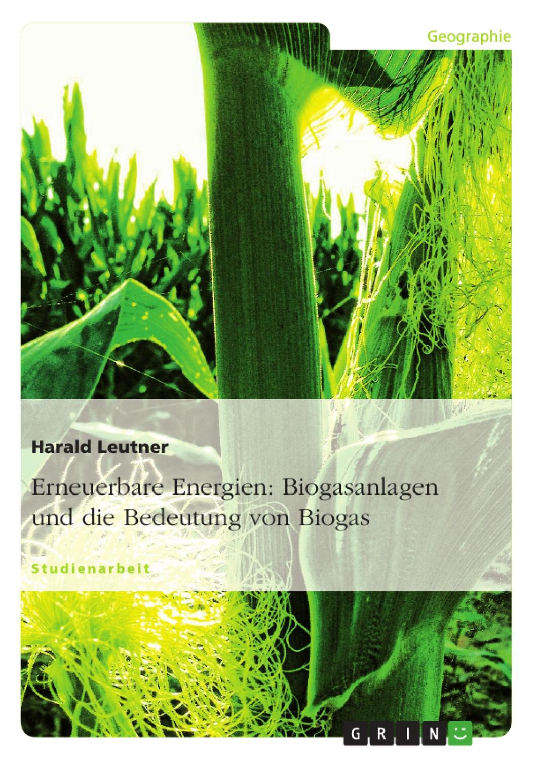 Cover: 9783640589883 | Erneuerbare Energien: Biogasanlagen und die Bedeutung von Biogas