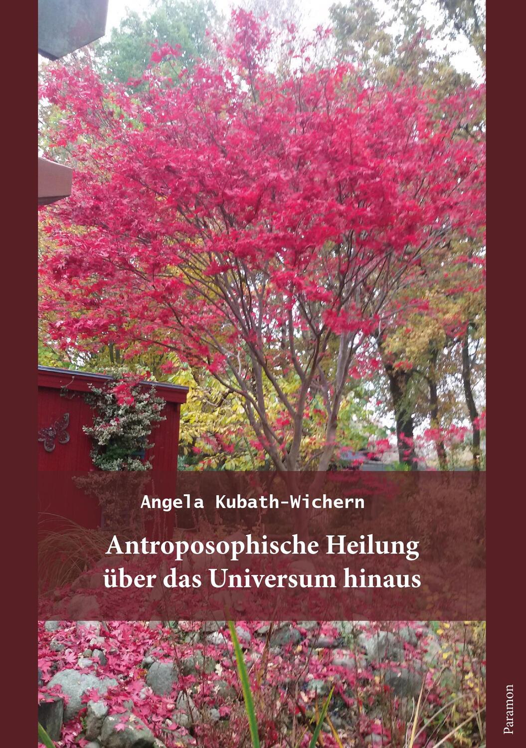 Cover: 9783038308591 | Anthroposophische Heilung über das Universum hinaus | Kubath-Wichern