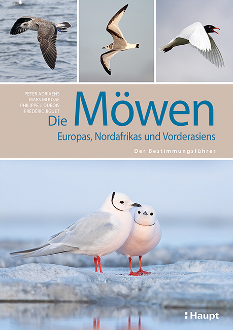Cover: 9783258082387 | Die Möwen Europas, Nordafrikas und Vorderasiens | Adriaens (u. a.)