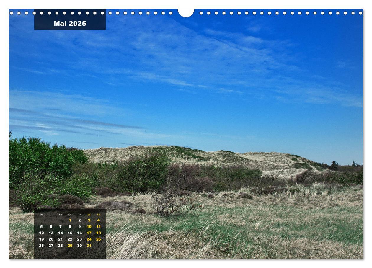 Bild: 9783435331390 | Texel Insel mit Charakter (Wandkalender 2025 DIN A3 quer), CALVENDO...