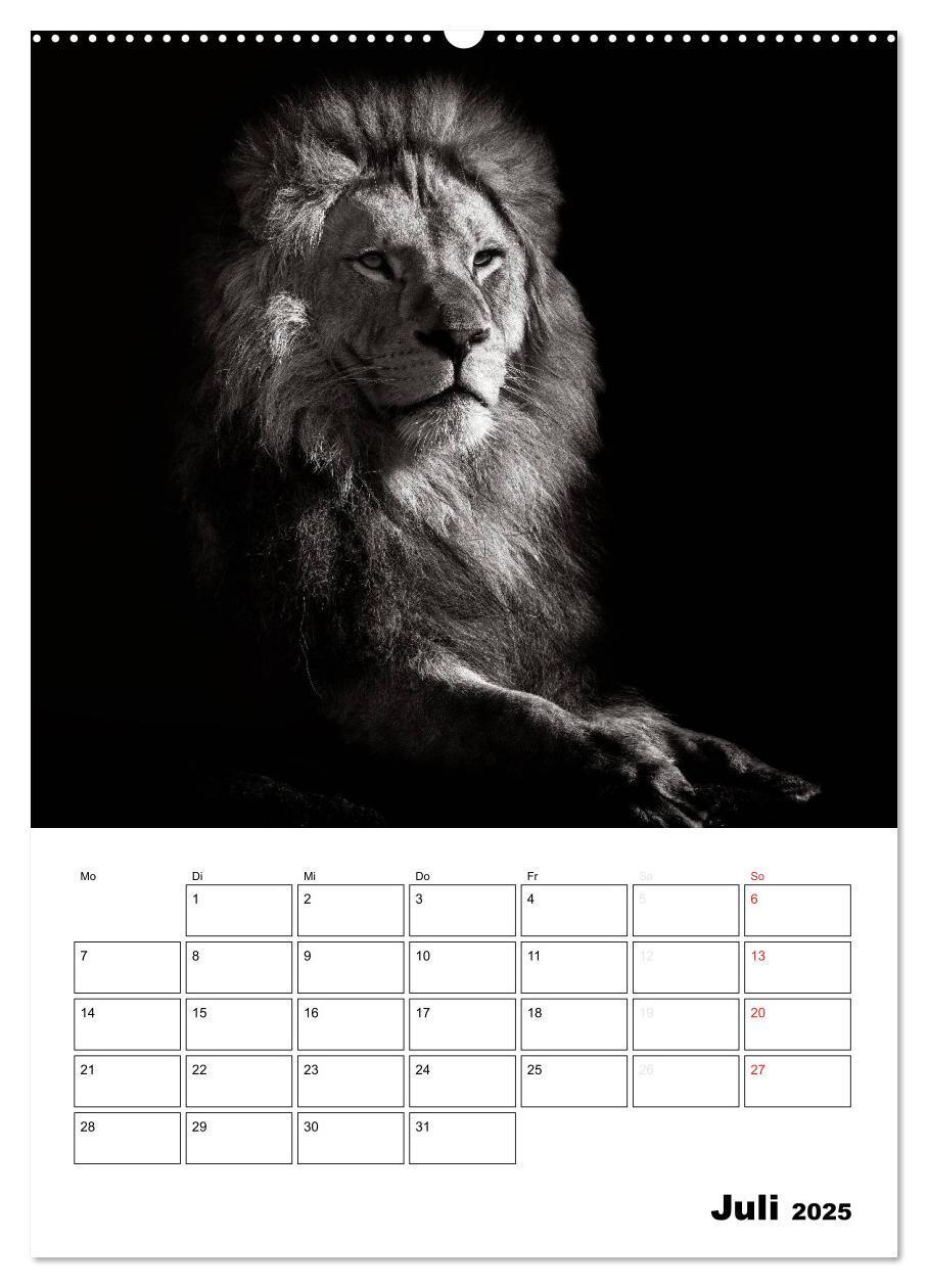 Bild: 9783457012840 | Charakterköpfe aus der Welt der Tiere (Wandkalender 2025 DIN A2...