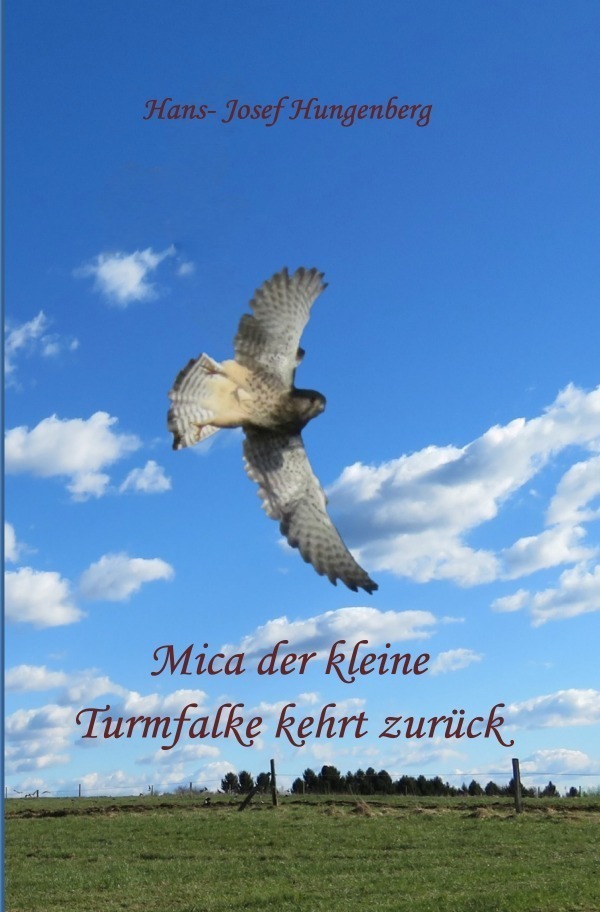 Cover: 9783750263369 | Mica der kleine Turmfalke kehrt zurück | Hans- Josef Hungenberg | Buch