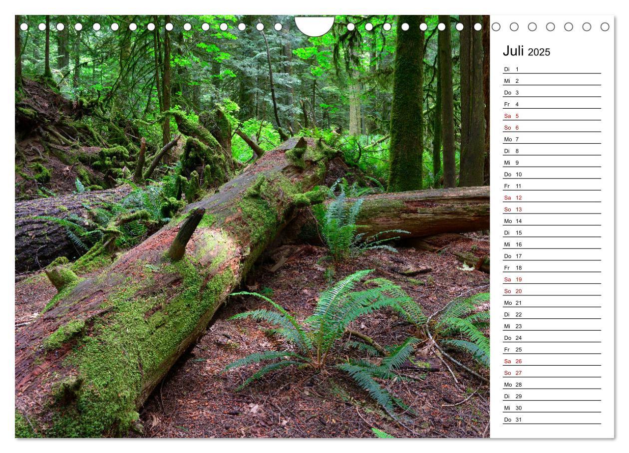 Bild: 9783435443949 | Vancouver Island - Perle im Kanadischen Westen (Wandkalender 2025...