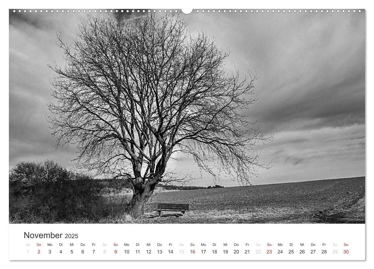 Bild: 9783435659999 | Bäume - Naturschönheiten in schwarz-weiß (Wandkalender 2025 DIN A2...