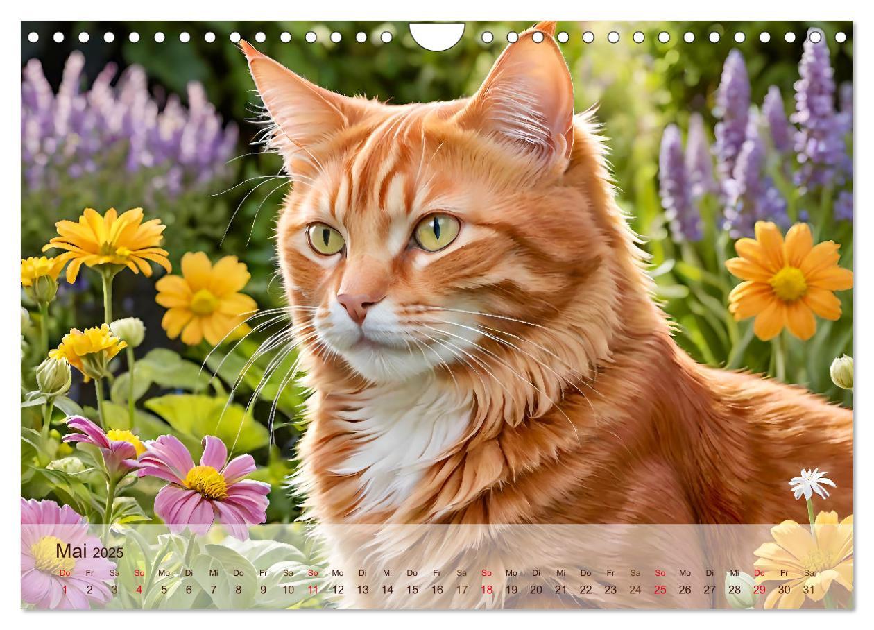 Bild: 9783383817830 | Rote Katzen (Wandkalender 2025 DIN A4 quer), CALVENDO Monatskalender