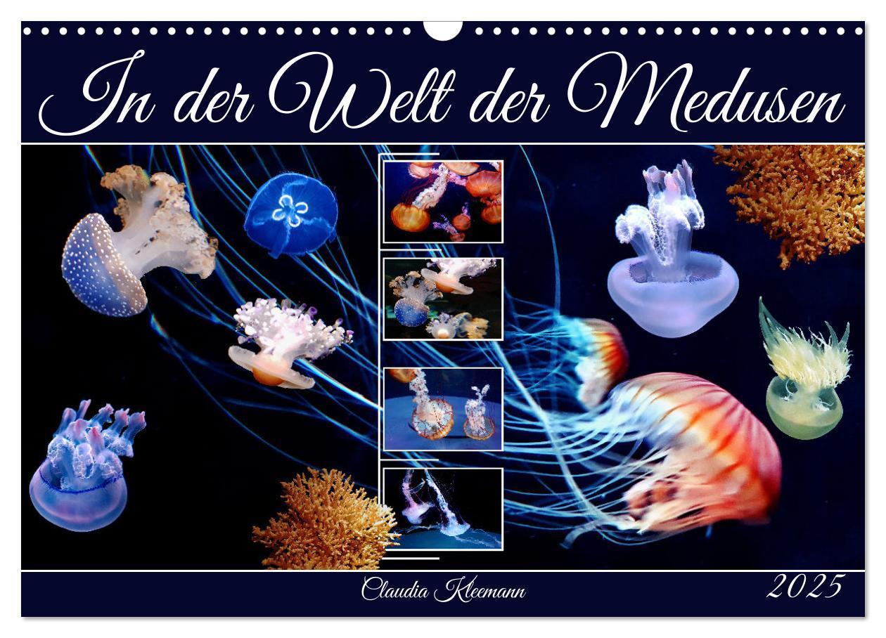 Cover: 9783383954917 | In der Welt der Medusen (Wandkalender 2025 DIN A3 quer), CALVENDO...