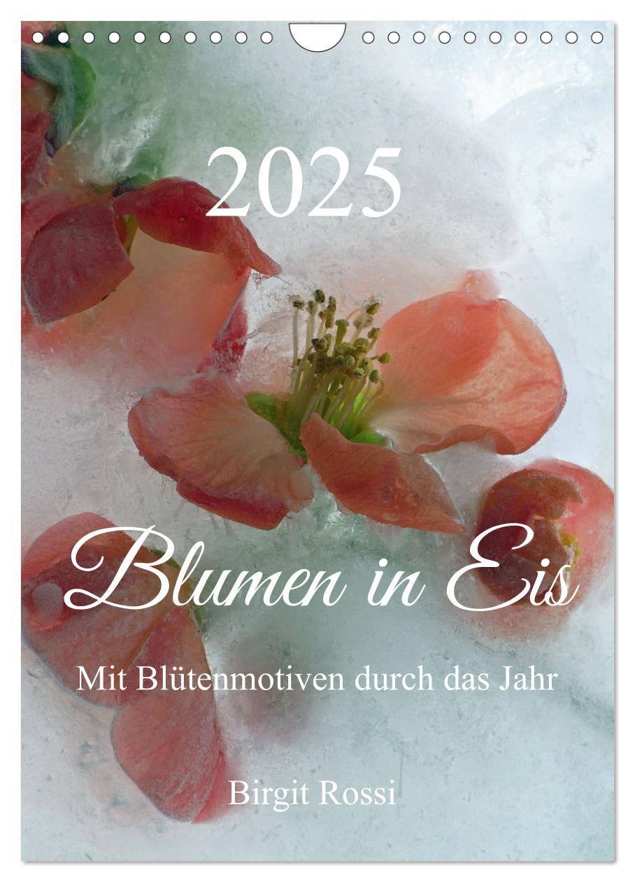 Cover: 9783435919451 | Blumen in Eis (Wandkalender 2025 DIN A4 hoch), CALVENDO Monatskalender