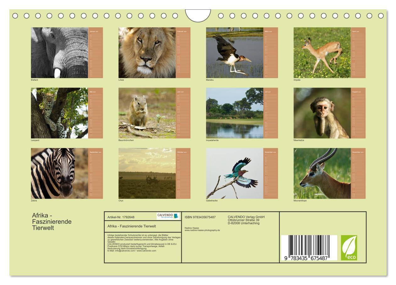 Bild: 9783435675487 | Afrika - Faszinierende Tierwelt (Wandkalender 2025 DIN A4 quer),...