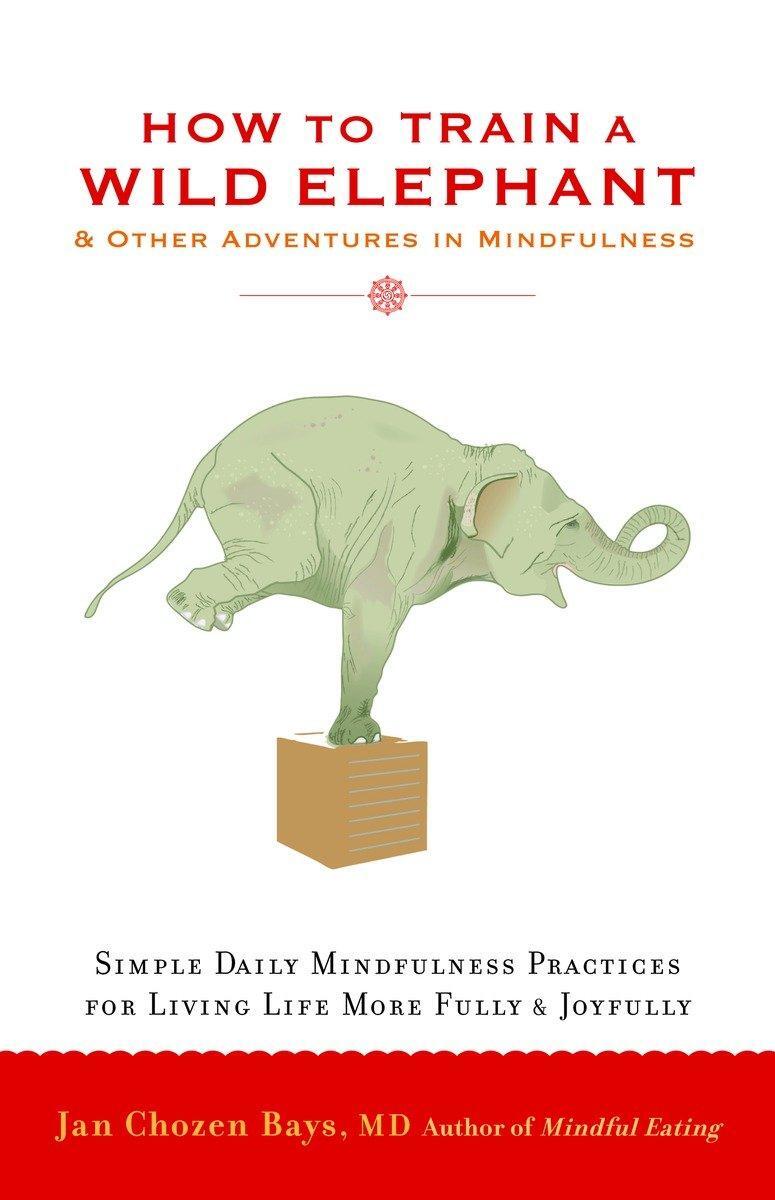 Cover: 9781590308172 | How to Train a Wild Elephant: And Other Adventures in Mindfulness