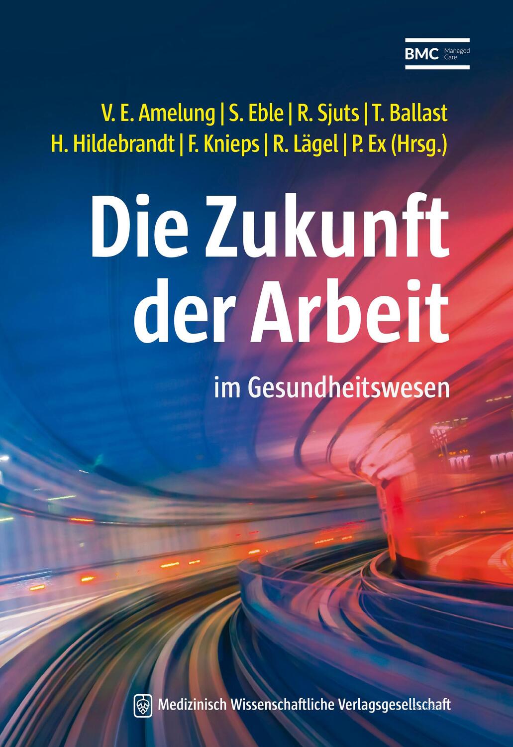 Cover: 9783954665075 | Die Zukunft der Arbeit | im Gesundheitswesen | Amelung (u. a.) | Buch