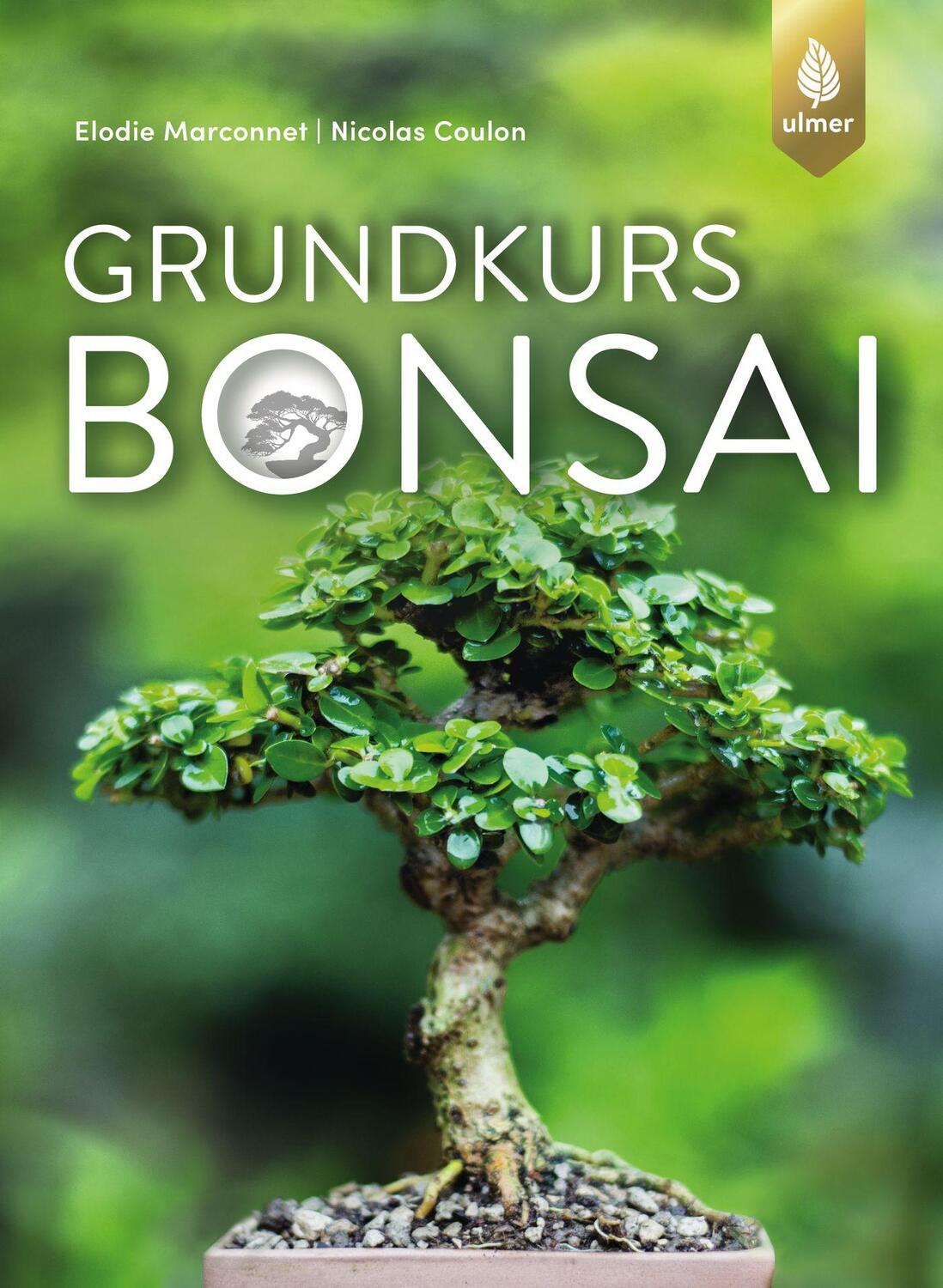 Cover: 9783818604431 | Grundkurs Bonsai | Elodie Marconnet (u. a.) | Taschenbuch | Deutsch