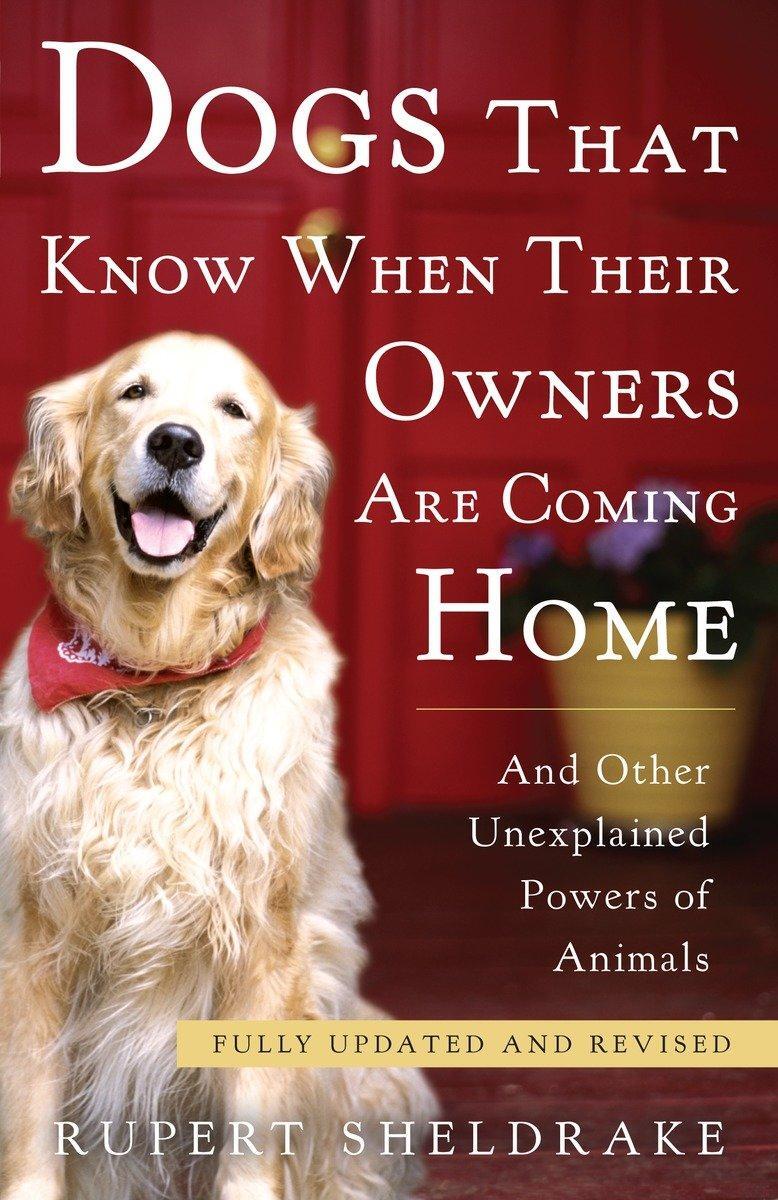 Cover: 9780307885968 | Dogs That Know When Their Owners Are Coming Home | Rupert Sheldrake