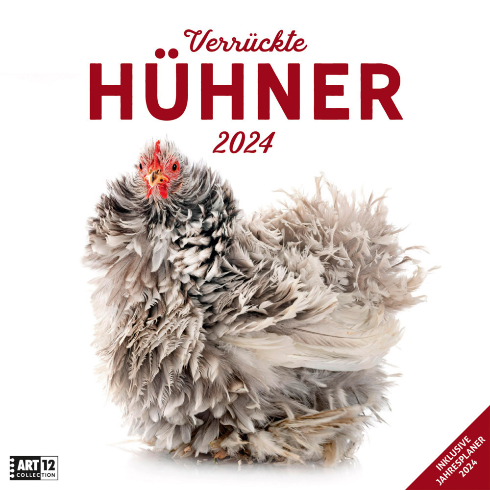 Cover: 9783838444192 | Verrückte Hühner Kalender 2024 - 30x30 | Ackermann Kunstverlag | 28 S.