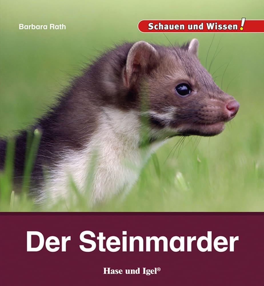 Cover: 9783863164249 | Der Steinmarder | Schauen und Wissen! | Barbara Rath | Buch | 34 S.