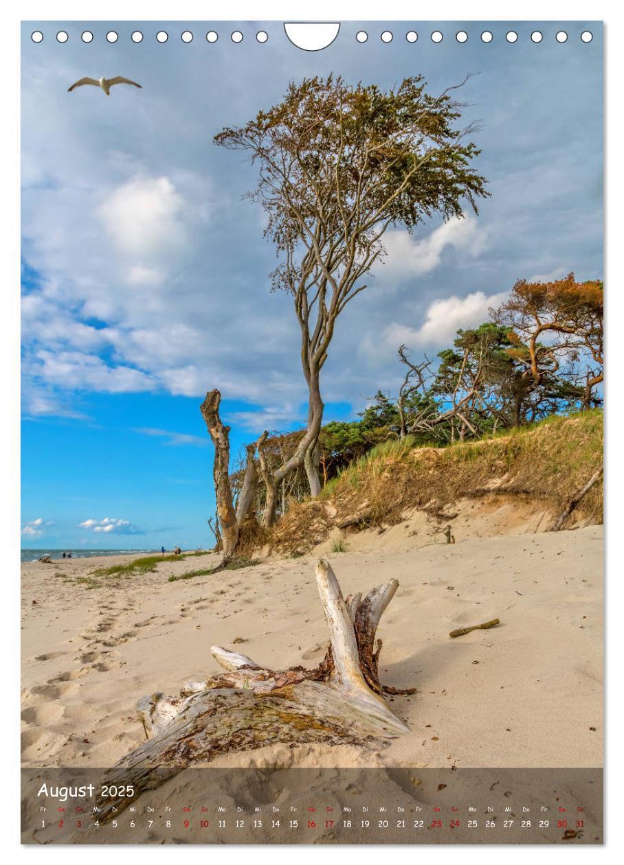 Bild: 9783435956654 | Wunderbare Ostseelandschaft Fischland-Darß-Zingst (Wandkalender...