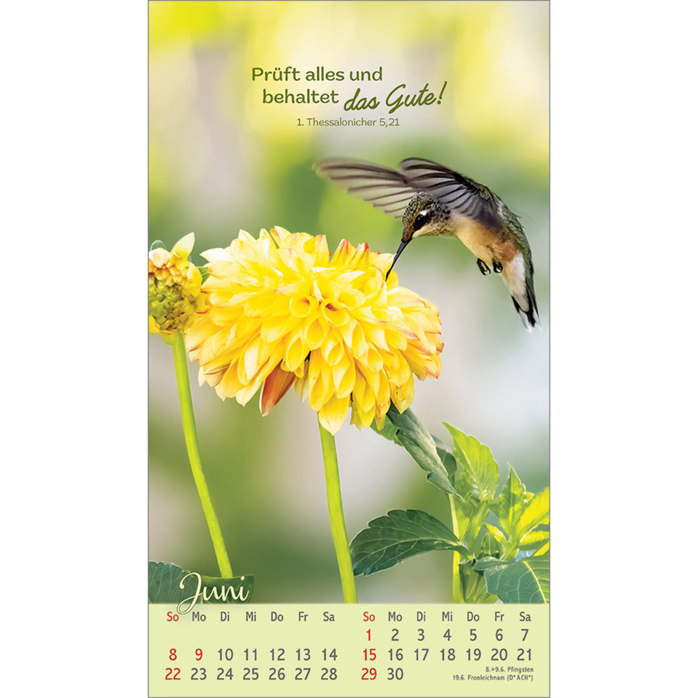 Bild: 9783754879757 | Beflügelt und geborgen | Vögel 2025 | Kalender | 13 S. | Deutsch