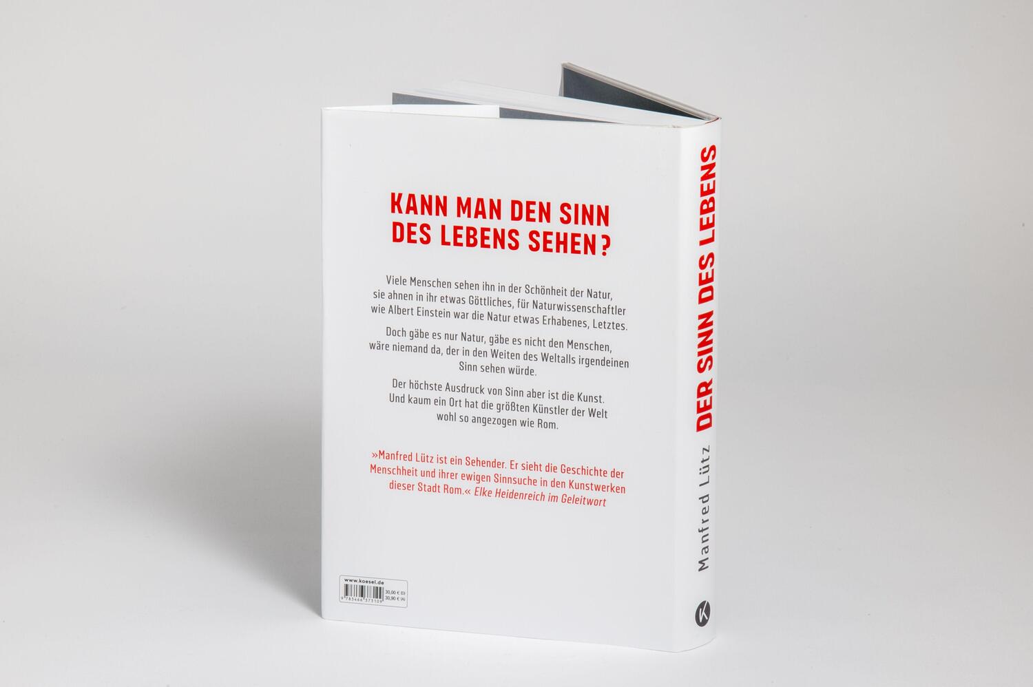Bild: 9783466373109 | Der Sinn des Lebens | Manfred Lütz | Buch | 368 S. | Deutsch | 2024