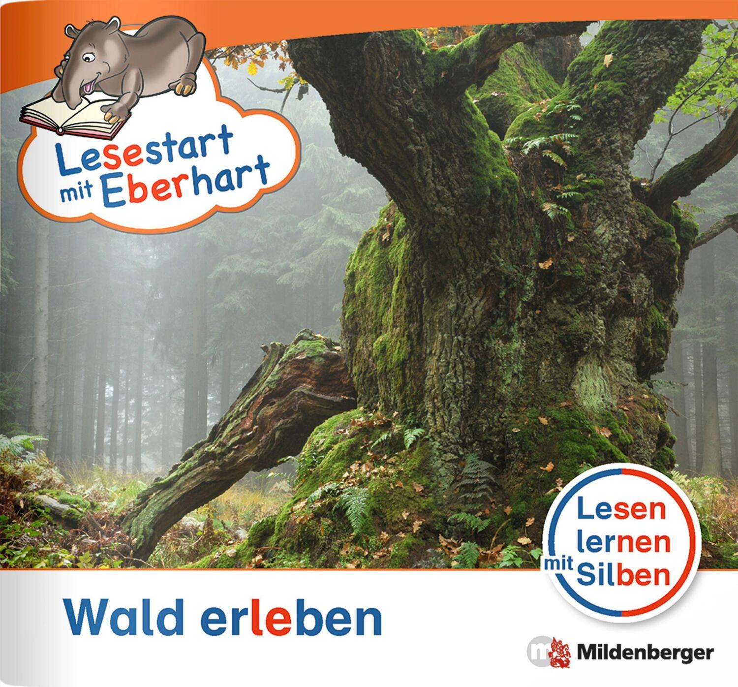 Cover: 9783619044306 | Lesestart mit Eberhart - Wald erleben | Stefanie Drecktrah | Broschüre