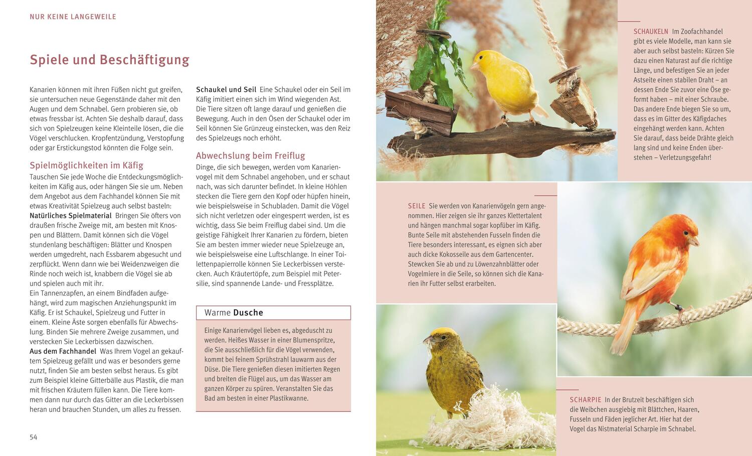 Bild: 9783833855092 | Kanarienvögel | Die wichtigsten Wohlfühl-Basics | Thomas Haupt | Buch