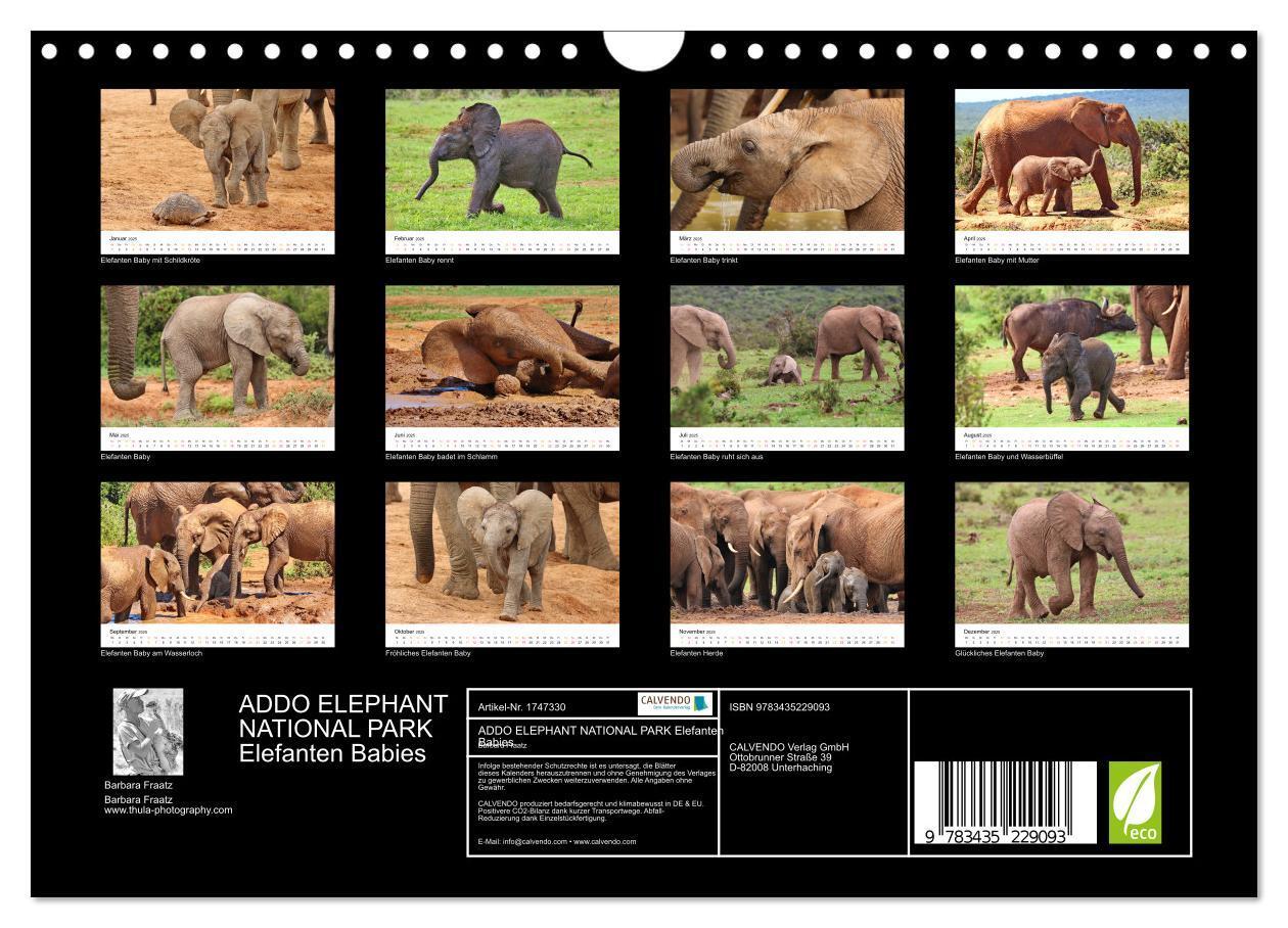 Bild: 9783435229093 | ADDO ELEPHANT NATIONAL PARK Elefanten Babies (Wandkalender 2025 DIN...