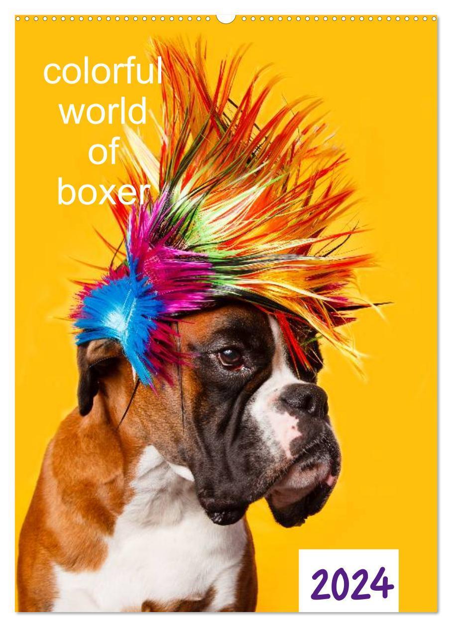 Cover: 9783383615016 | colorful world of boxer 2024 (Wandkalender 2024 DIN A2 hoch),...