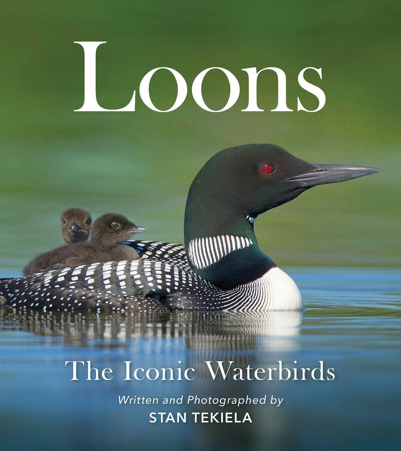 Cover: 9781647552091 | Loons | The Iconic Waterbirds | Stan Tekiela | Taschenbuch | Englisch