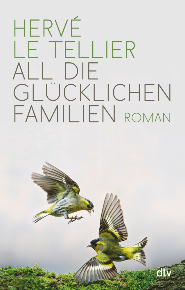 Cover: 9783423289719 | All die glücklichen Familien | Roman | Hervé Le Tellier | Buch | 2018